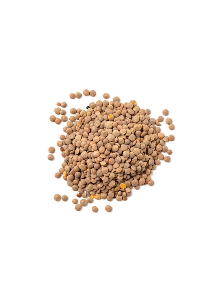 Lenticchie Rosse Bio 400g